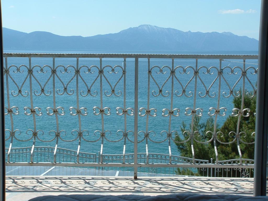 Guesthouse Kod Irene Gradac  Bagian luar foto